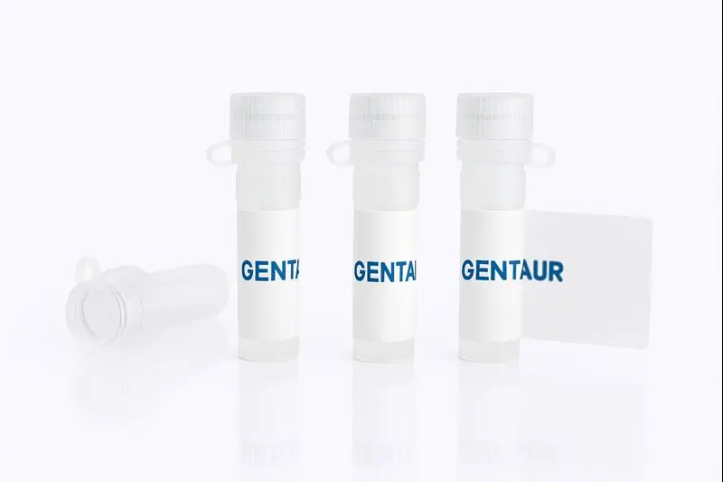 Colloidal Gold Conjugated Helix pomatia Lectin (Edible Snail) -HPA-  40nm Particle Size 