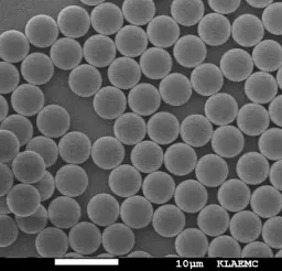 Epoxy Silica Magnetic Particles, 1.5 um